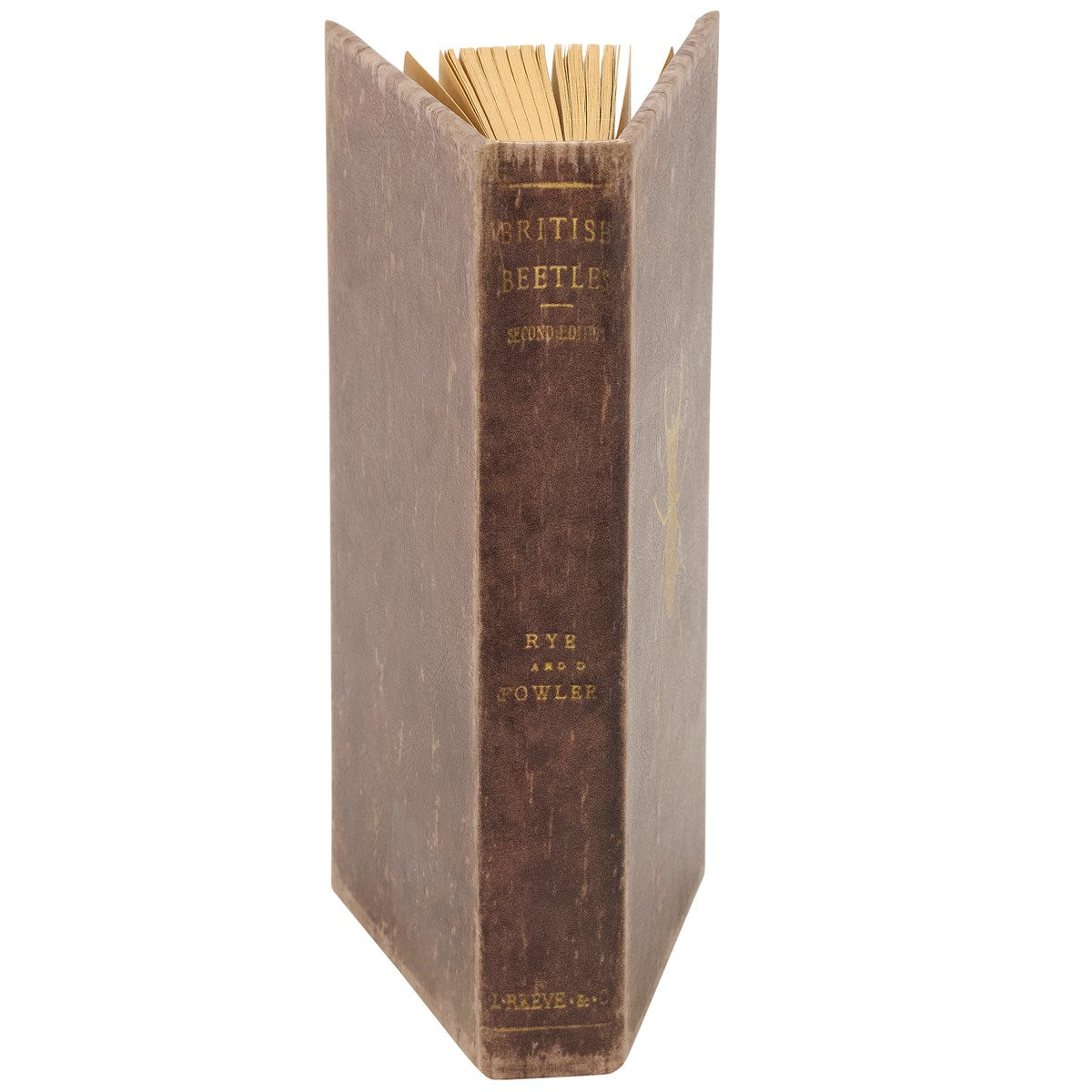 Vintage Beetle Journal