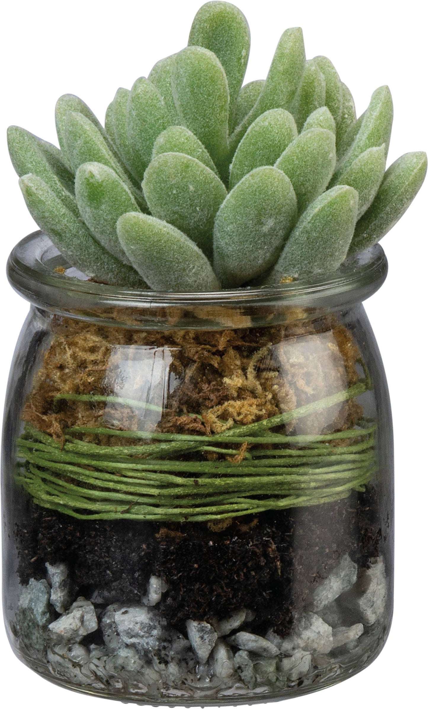 Jade Succulent Jar