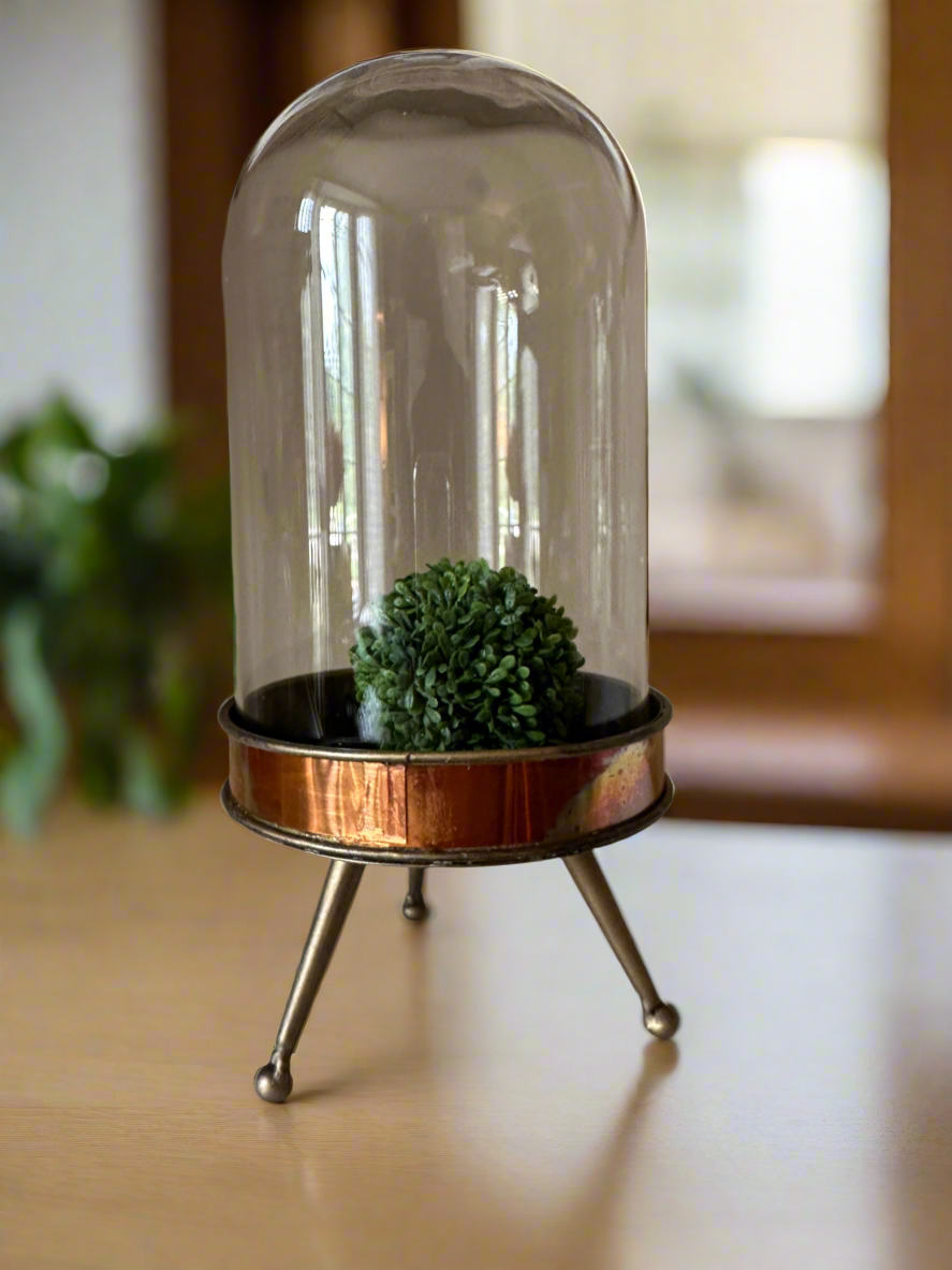 Historic Cloche Stand