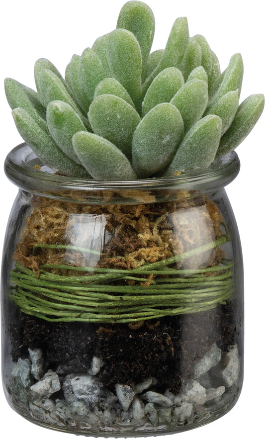 Jade Succulent Jar