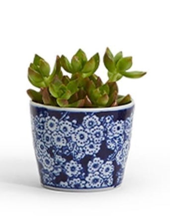 Hand Painted Blue Cachpot