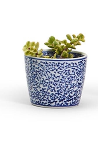 Hand Painted Blue Cachpot