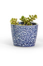 Hand Painted Blue Cachpot