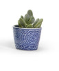 Hand Painted Blue Cachpot