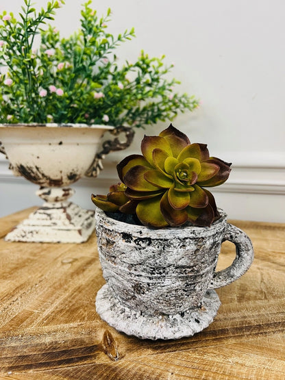 Cement Teacup Planter
