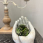 Cement Hands Planter