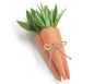10" Carrot Bundle