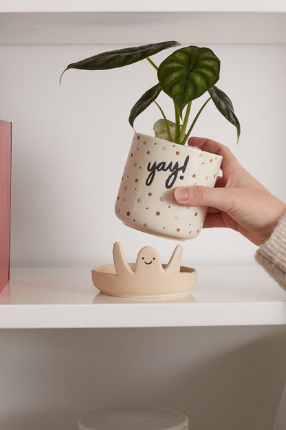 Yay Pot