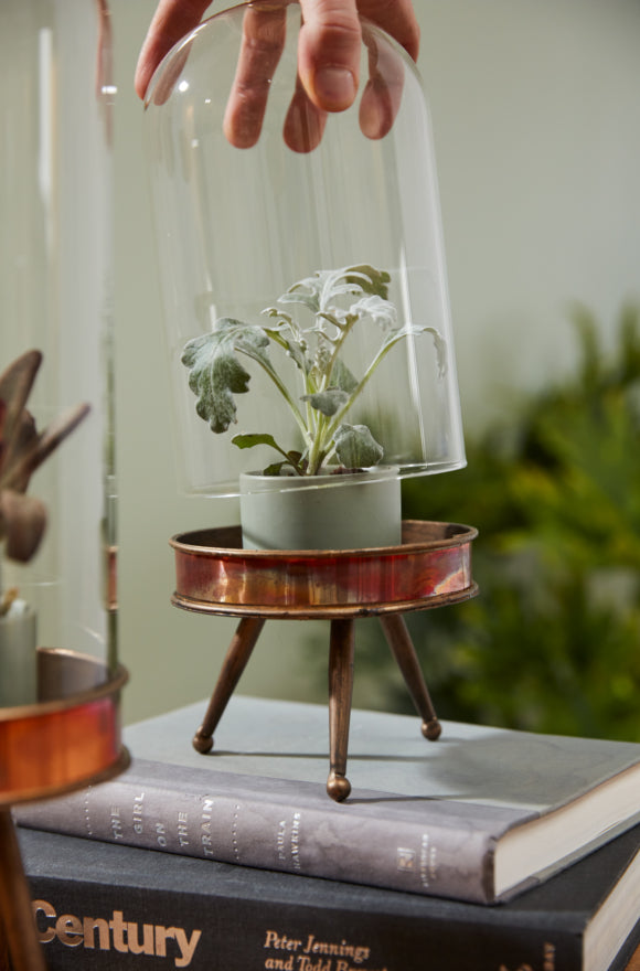 Historic Cloche Stand